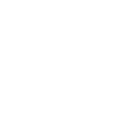 seo audit