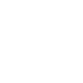 seo audit